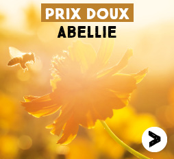 promotion outlet Famille mary